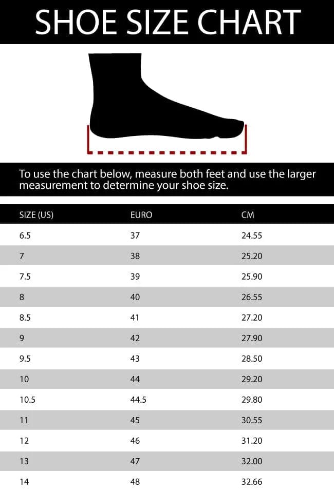 F1 Alpine Fernando Alonso 2022 race shoes