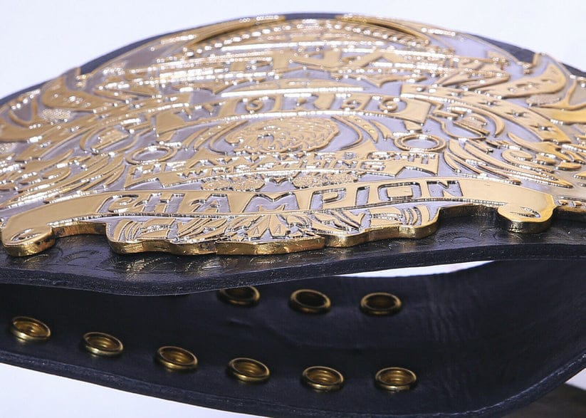 TNA World Heavyweight Wrestling Championship Belt