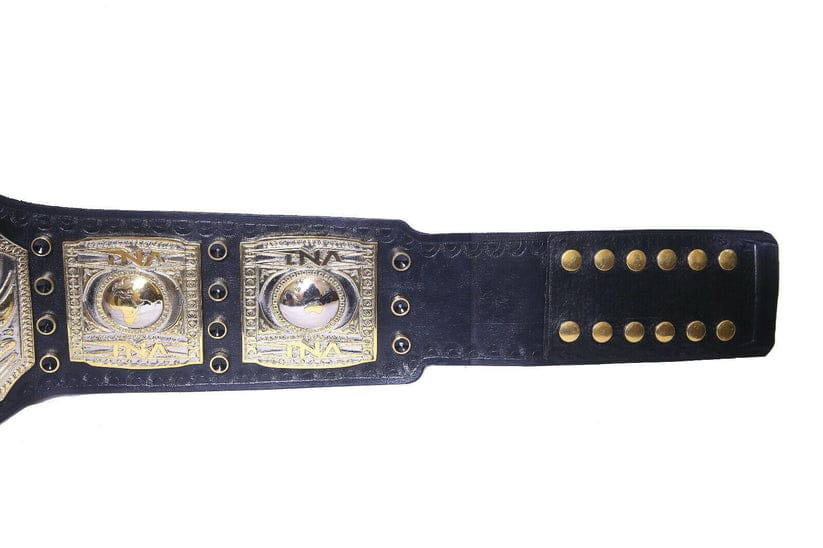 TNA World Heavyweight Wrestling Championship Belt