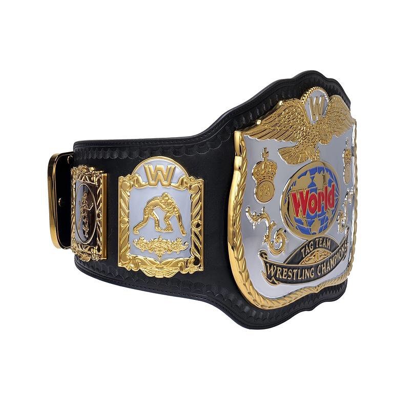 WWE World Tag Team Wrestling Championship Title Belt