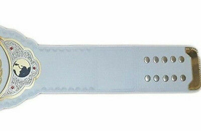 TNA Womens Heavyweight Wrestling Championship Title Belt