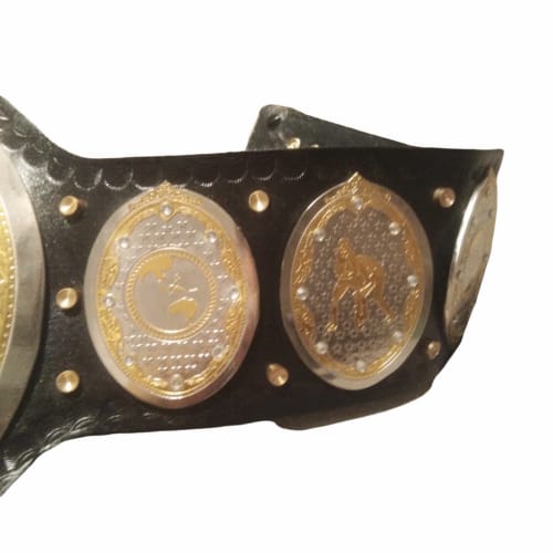 AEW World Women Wrestling Championship Title Belt
