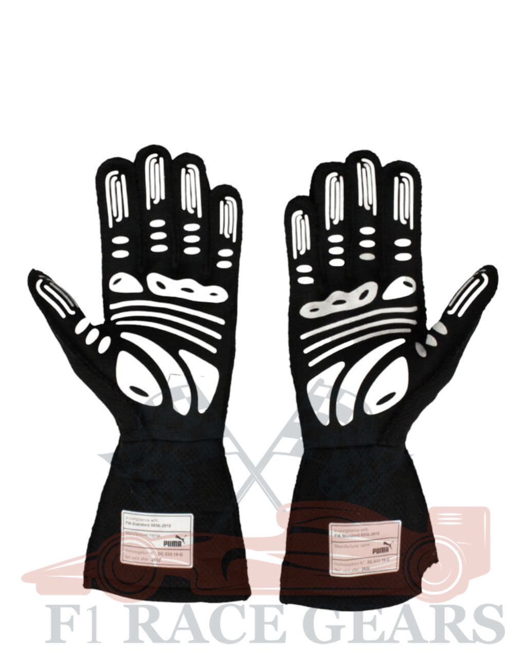 F1 Mercedes lewis Hamilton 2022 race gloves