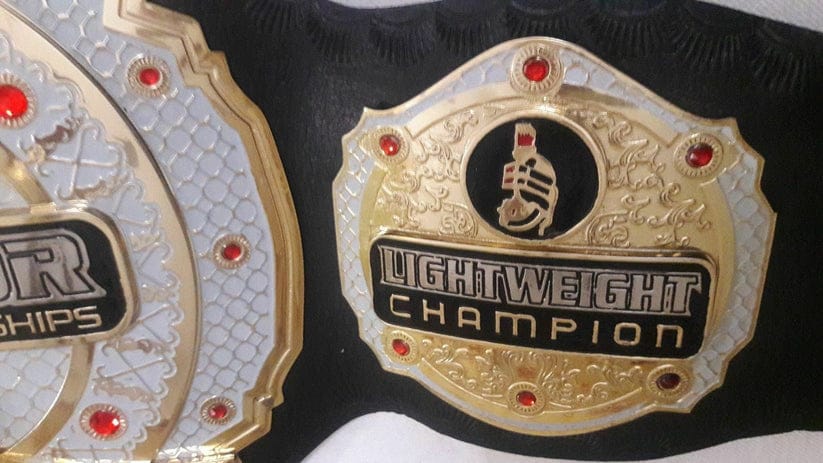 MMA UFC Bellator Kickboxing World Championship Belt