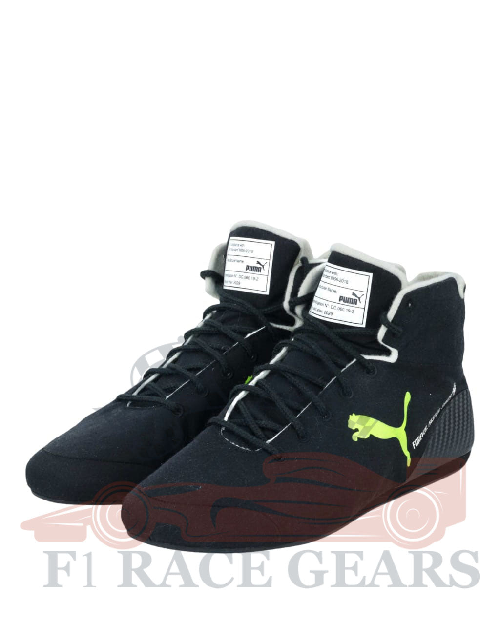 F1 Mercedes lewis Hamilton 2023 race shoes