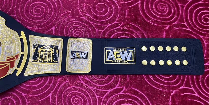 AEW TNT Wrestling Championship Title Heavy Weight Belt.