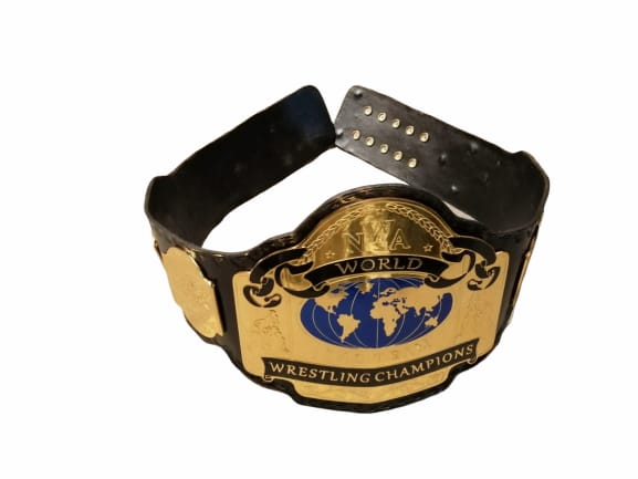 NWA World TAG TEAM Wrestling Championship Title Belt