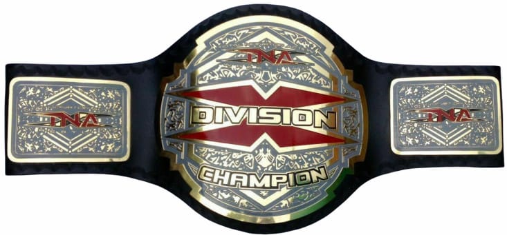 TNA X Division Wrestling Championship Title Belt