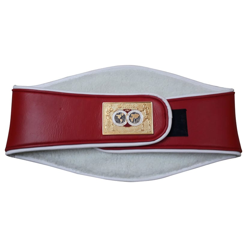 IBF INTERNATIONAL BOXING FEDERATION CHAMPIONSHIP BELT