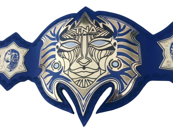 TNA Immortal Jeff Hardy Heavyweight Championship Title Belt