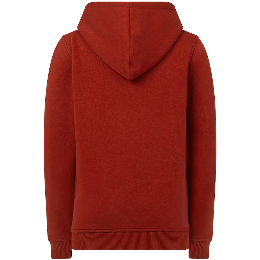 Red Bull Racing Logo Hoodie