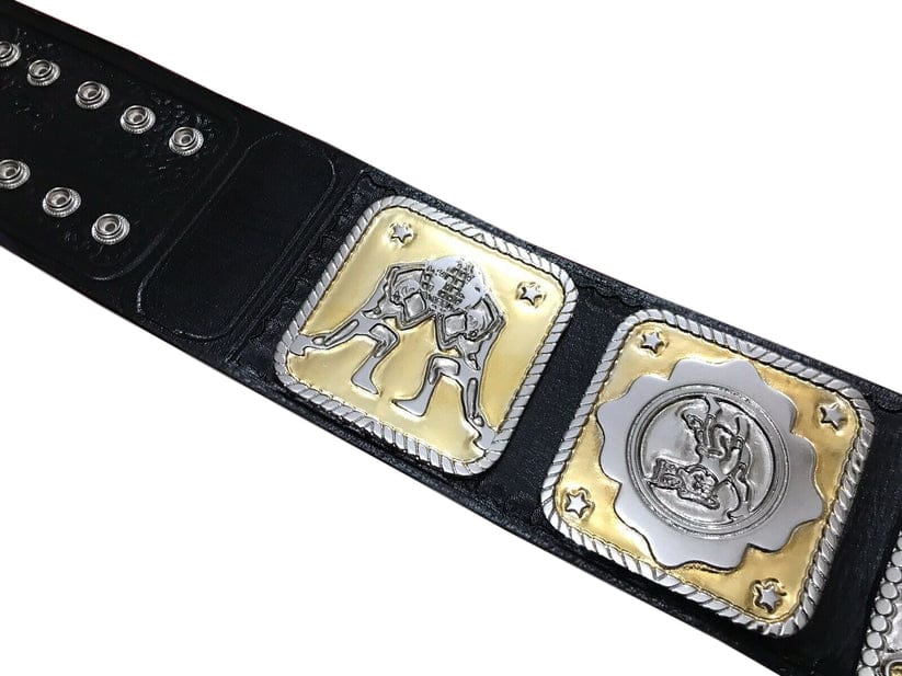 NWA Nation Tag Team Championship Wrestling Heavyweight Belt