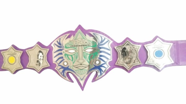 TNA Jeff Hardy Immortal Heavyweight Championship Title Belt