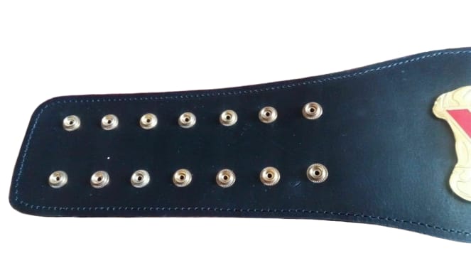 WCW WORLD Cruiser Weight Wrestling Championship Title Belt