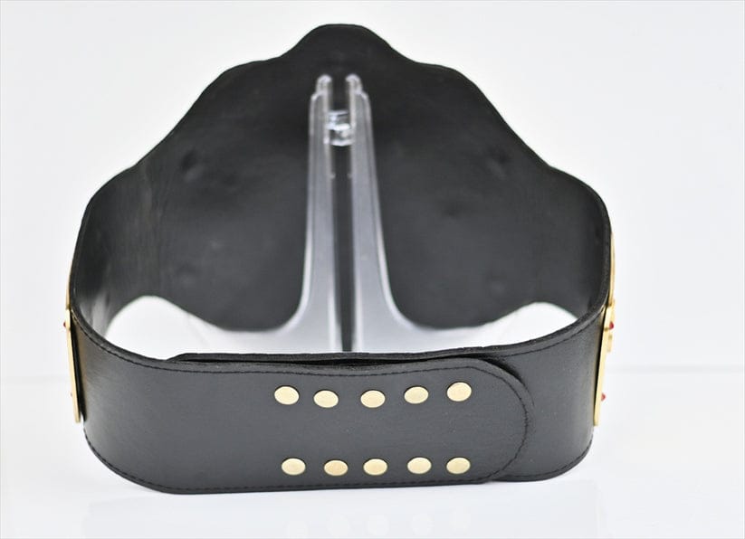 nWo Spray Paint WCW Wrestling Championship Title Belt